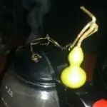 仕明6
