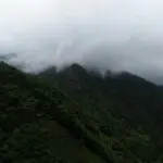 为谁辛苦，为谁忙。