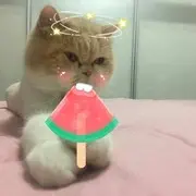 じ★╮无为✿