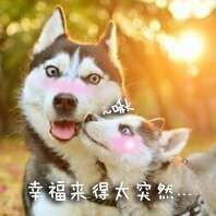 呼啦圈女王驾到主播照片