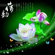 20145207