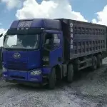 波斯湾畔的山泉