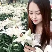 夕阳可兮