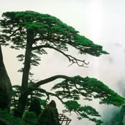 ✿倾城✿助人为乐✿