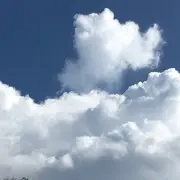 莫白一毛七