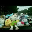 双鱼就你吧