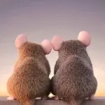 羊蝎子王