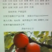 求购菲利浦HQ30款