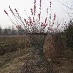 夏天的风*7