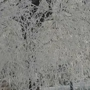 月半湾7w