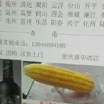 求二手菲利浦Hq20