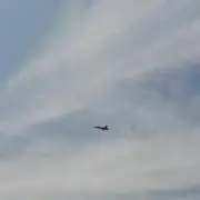 翱翔*z3