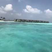 🌺绾青丝