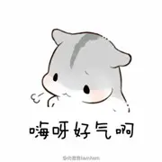 🥚🥚公交车🚌
