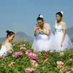 善良人生平安