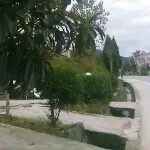 《开心～农场》