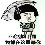 ✨💘枫儿💘✨