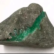 🎆自由人生🎆的主播照片