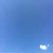 无情哥。。。。。