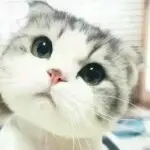 要你管我