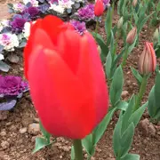 🍷永远~