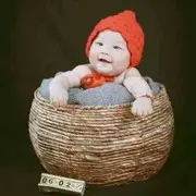 。.D.。