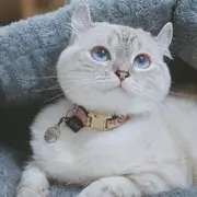 嫣然~一笑