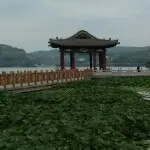 悟缘5m有缘