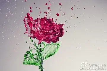 0的境界的主播照片