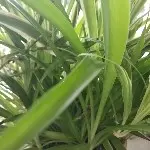 顺丰哥x