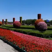 天天快乐ivm