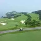 茵翠欲滴