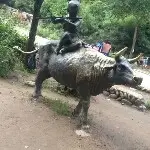 丰奔C