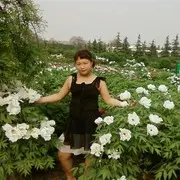 吴杰他媳妇