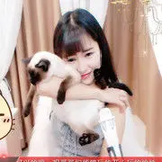 粉红豹祝大家新年快乐