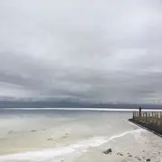 王老五yvi