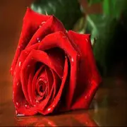 ゛晓薇✿ゝ