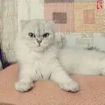 豁达，自强
