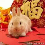 辉哥？！