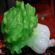 明大夫0