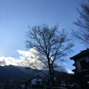 杨家风范