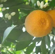 心读天下