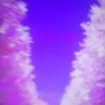 江城＄龍哥