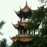 【﹌缘来是你﹌】