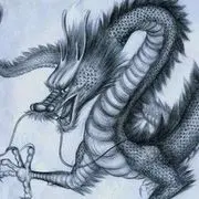 ⚜️修罗⚜️偑伝龍尐