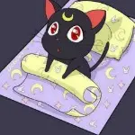 沫儿家的猫