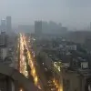 年糕va