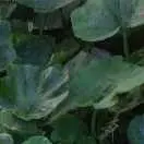回不去的过去gg