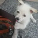 我要一步一步往上爬