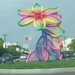 尐吖头脾氣拽j